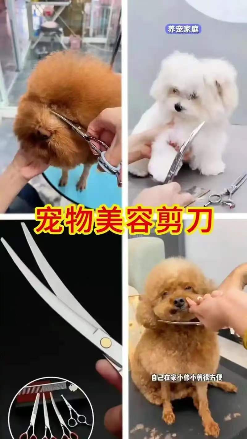 宠物美容