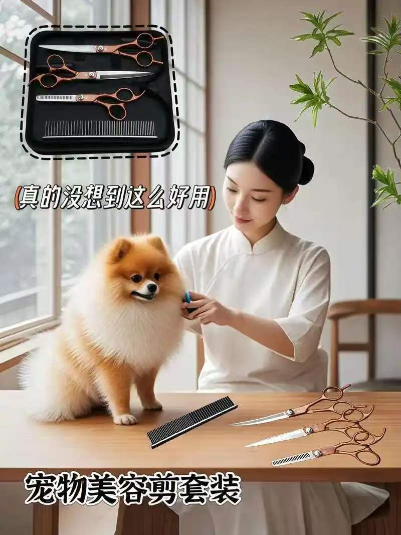 宠物美容2