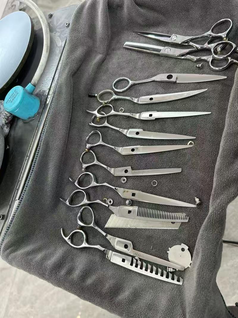成果图片