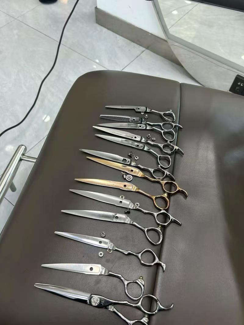 成果图片2