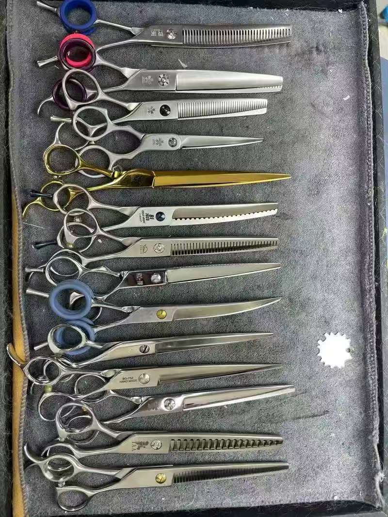 成果图片4