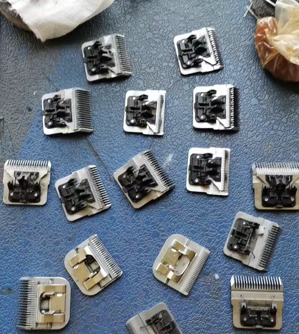 成果图片5